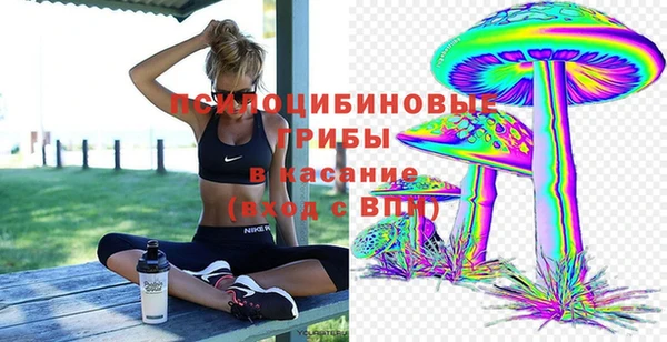 прущий лед Алексин