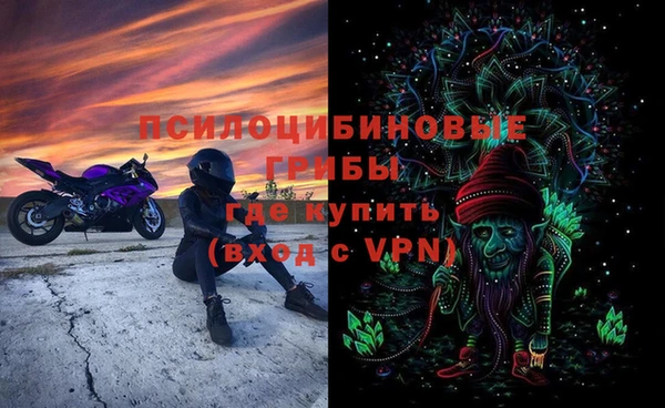 хмурый Абинск