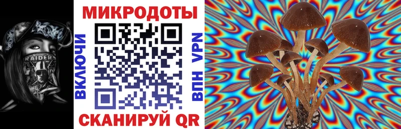 дарк нет какой сайт  наркошоп  Берёзовка  Галлюциногенные грибы Cubensis 